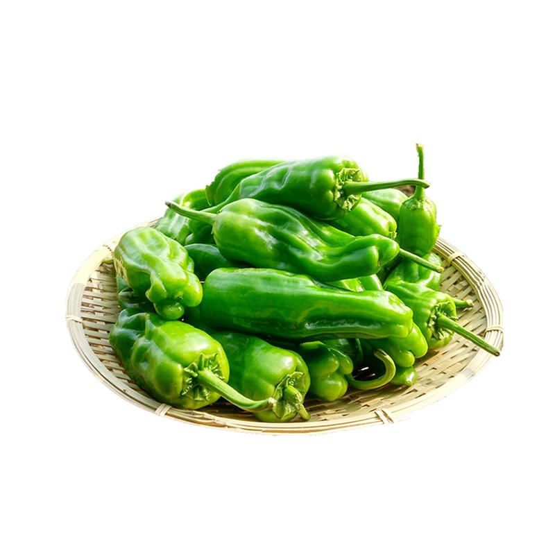 鲜食荟皱皮椒260-300g/份